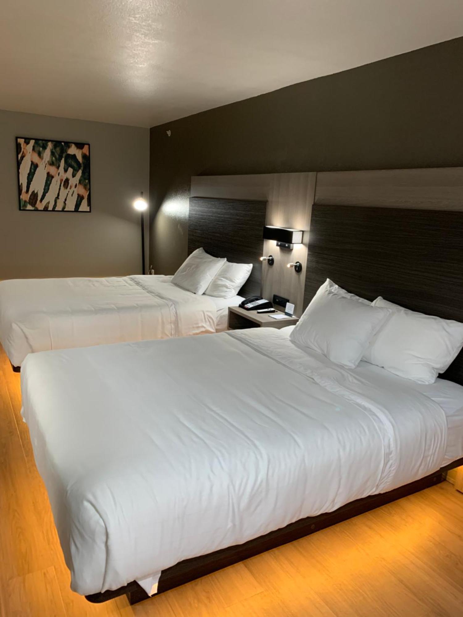 Quality Inn&Suites North Mesquite I-30 Chambre photo